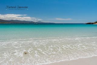 Ocean Dreams - Bicheno - 9