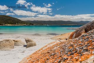 Whispering Waves - Bicheno - 5