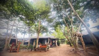 บ้านภทรพรรณ ขุนยวม แม่ฮ่องสอน PATARAPHAN HOUSE, Khunyuam, Maehongson, Thailand - 5