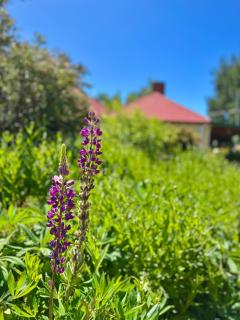 Hamlet Downs Country Accommodation - Fentonbury - 7