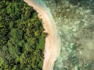 Endless Summer at Punta Bandera - Luquillo - 5
