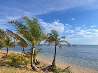 Endless Summer at Punta Bandera - Luquillo - 3