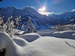 Chalet Gotthelf Gartenstudio, Ferien mit Hund - Adelboden - 3