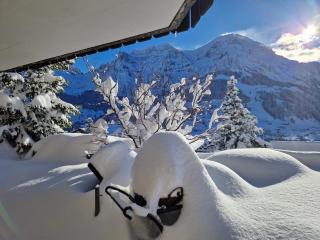 Chalet Gotthelf Gartenstudio, Ferien mit Hund - Adelboden - 5