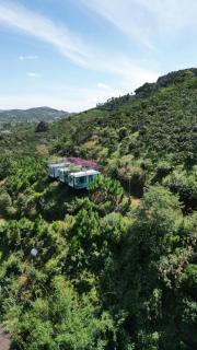 Gạo hạt dẻ homestay - Bảo Lộc - 6