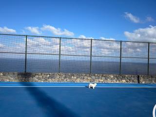Apartamento torres - Santa Cruz de Tenerife - 3