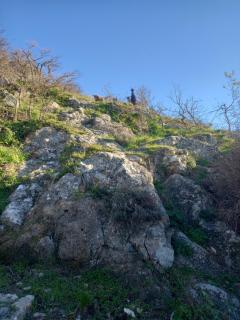 Autenticum Agriturismo Tolfa - Tolfa - 2