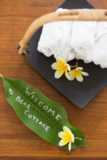 Bear Cottage 4 Bedroom Luxury Villa - Petitenget, Seminyak - 6