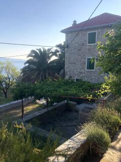 Kameni cvijet - Murvica - 9