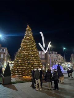 Aux Petits Oignons - Albi - 2