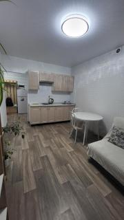 New clean apartments - Vinnytsya - 4