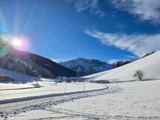 Ferienwohnungen Strickner - Obernberg am Brenner - 4