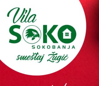 Vila Soko Smeštaj Žugić - Soko Banja - 0