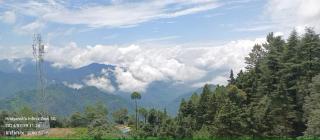 The Anvi Retreat , 8 km from Naini lake - Nainital - 7