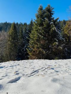 Na Świerkowym Strychu - Szczawnica - 6