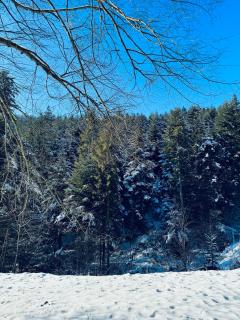 Na Świerkowym Strychu - 9