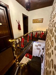 ΤΟ ΑΡΧΟΝΤΙΚΟ - 1