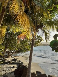 Le P'ti Mabouya - Sainte-Luce - 2