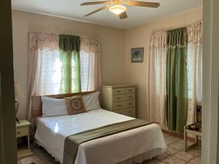 1 Bed Flat at Coconut Villa - Spanish Town - 0