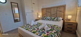 Casa Paseo - Torrevieja - 1