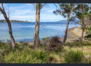 The Cove - - 2