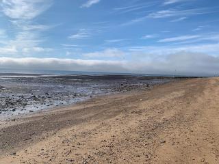 Pollywiggle Cottage, Dog Friendly cottage in Heacham - 2