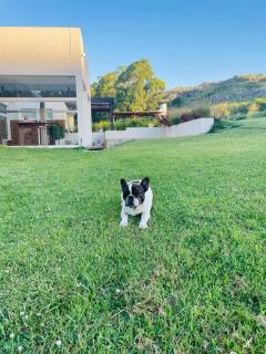 Suites CasaCruz Tandil - Tandil - 7