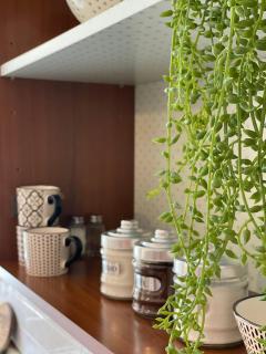 Dream balcony at Piazza del Perugino - Trieste - 4