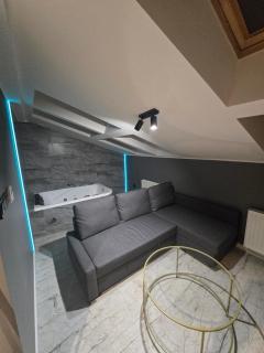 Centrum Jacuzzi prywatny parking klimatyzacja 5 - Radom - 8