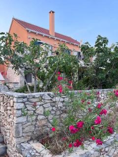 Villa Asteroi'dea - Tiha Mala - Sutivan - 2