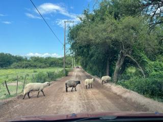 Mía Casa de Campo - 7