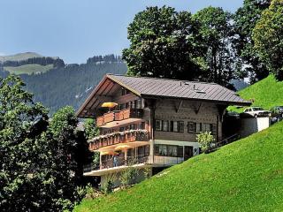 Apartment Aphrodite West magnificent Eiger view - Grindelwald - 6