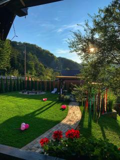 Căsuța cu doi brazi - Baia Mare - 1