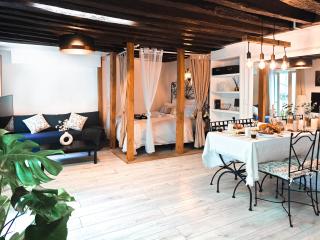 Rustic Charm&Dreamhome 40m2 in the heart of Paris, near Pompidou and Notre-Dame, Subway 4,8,9 Honeymoon favourite - Paris - 3