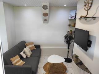 Bas de villa cosy avec piscine privative - Le François - 7