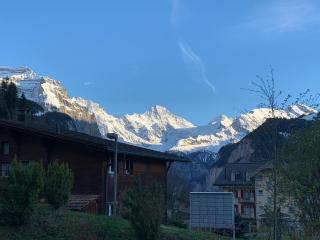 Chalet Schluecht - Wengen - 7
