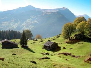 Apartment Aphrodite Ost with magnificent Eiger view - 7