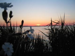 Mitteldeck 504 - Rechlin - 5