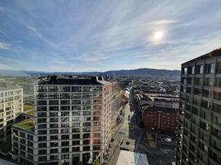 Large Luxury Business Penthouse near Main Station Zürich - 5