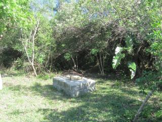 Toad Tree Cabins - Baía de Sodwana - 5