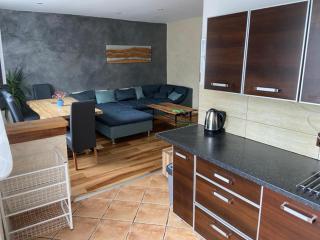 Apartmán Orlické hory - Orlické Záhoří - 5