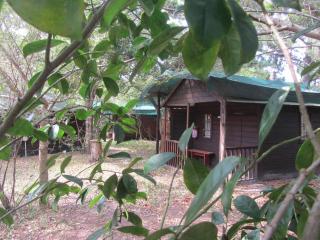 Toad Tree Cabins - Baía de Sodwana - 7