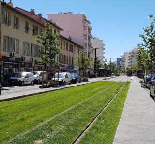 Maison calme avec jardin, proche des transports - 3