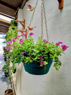 Espaço Itacoatiara - Itacoatiara - 4