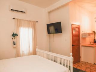 Maison Rouge - Room 4 - Christiansted - 7