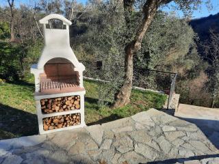 "Blue Villa" with private pool,BBQ in Andora - 8