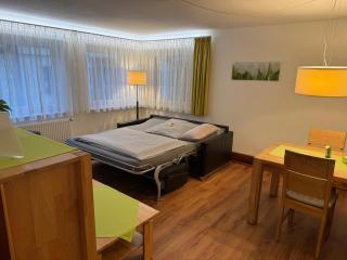 Ferienwohnung "SCHWARZWALD" , Pension Wauri - Waldenbuch - 1