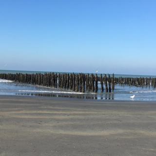 Les Villas d 'Opale - Berck-sur-Mer - 6