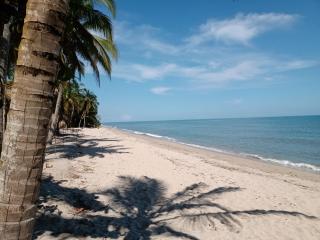 Cabanas Las Estrellas - Palomino - 9