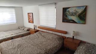 Apartmani Pasuljevic Srebrno Jezero - Veliko Gradište - 9